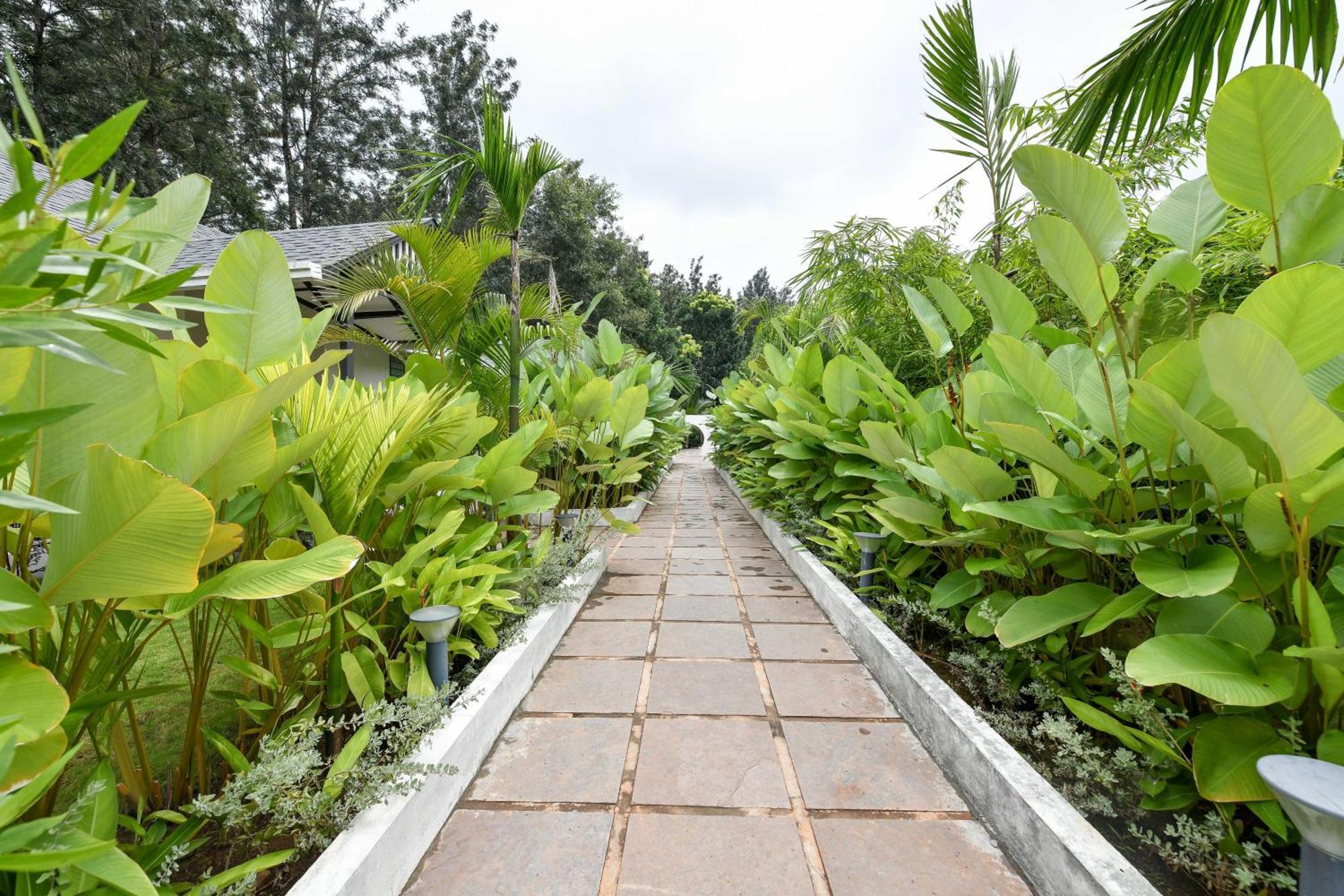Inventree Aranya Resort & Spa 马迪凯里 外观 照片